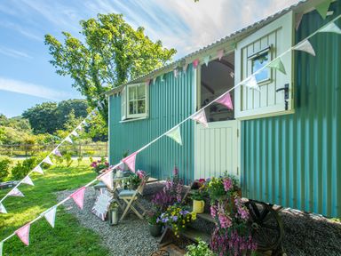 A blue corrugated shepherds hut with bunting and flowers outside at Gwithian Shepherds Hut in Angarrack near Hayle