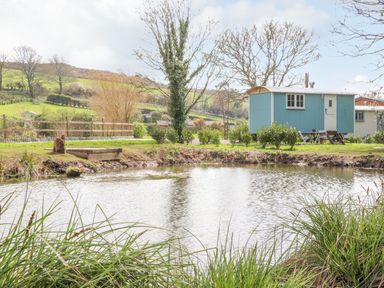 A small pond with grass and plants around it a blue shepherds hut with a door window and chairs nearby and a fence with hills in the background at Gwithian Shepherds Hut in Angarrack near Hayle