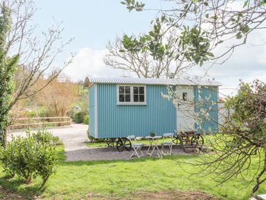A blue shepherds hut on wheels with a small table and chairs outside in a grassy garden at Gwithian Shepherds Hut Angarrack near Hayle