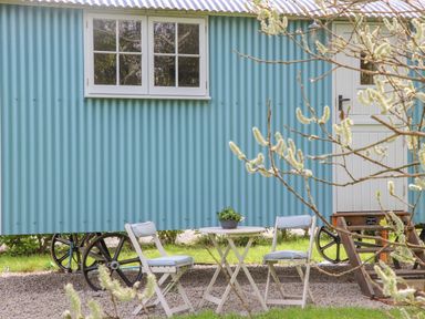 A small round table with a potted plant and two chairs outside a blue corrugated hut at Gwithian Shepherds Hut in Angarrack near Hayle