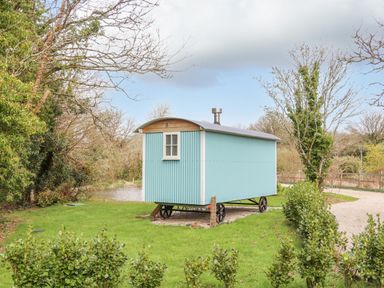 A blue shepherds hut on wheels on grass near trees and a gravel path at Gwithian Shepherds Hut in Angarrack near Hayle