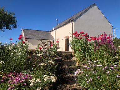 A house with stone steps leading to the entrance surrounded by various flowers at Ty Rhosyn in Penycwm near Solva