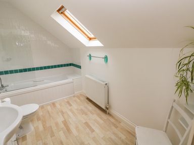 A bathroom with a bathtub toilet sink a chair a radiator skylight and a plant at Ty Rhosyn in Penycwm near Solva