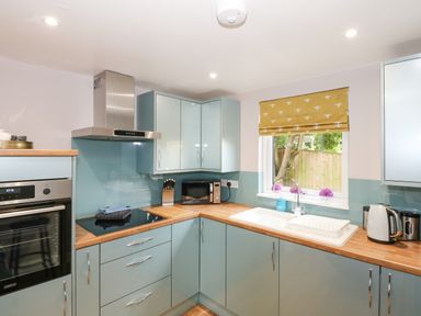 A kitchen with blue cabinets wooden countertops a built-in oven stovetop microwave kettle sink and window with yellow blind at Strawberry Fields Annex in Emneth