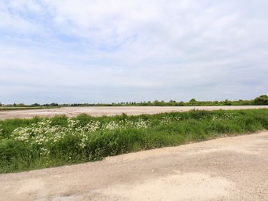 A rural scene with a dirt road grass and wildflowers in front of a plowed field at Strawberry Fields Annex in Emneth