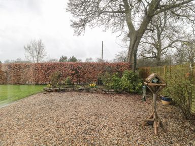 A garden area with gravel ground a wooden bird feeder a large tree and shrubs at Oak Barn in Kentisbeare