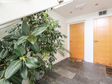 A hallway with two wooden doors and large green leafy plants in white pots Pebbles Downderry