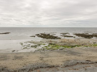 A rocky shoreline with patches of green seaweed and a sandy beach under a cloudy sky at Pebbles in Downderry