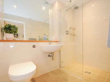 A bathroom with a toilet sink plant and glass shower at Pebbles in Downderry