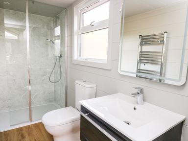 A bathroom with a glass shower enclosure a white toilet a sink with a faucet a mirror and a heated towel rack at Doe Lodge in Nantmel near Rhayader