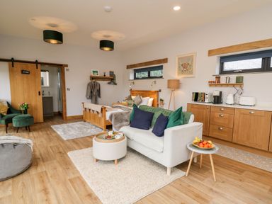 A studio room with a bed sofa and kitchenette at Tin Shed in Nantmel near Rhayader