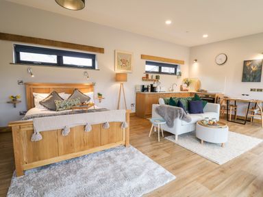 A studio apartment with a wooden bed a sofa and a kitchen area at Tin Shed in Nantmel near Rhayader