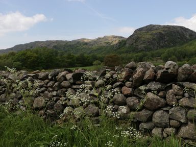 A stone wall with flowers and grass in front of hills and trees at Church How Cottage in Nether Wasdale