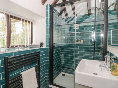 A bathroom with a shower enclosure a sink a towel rail and a window with vertical blinds at The Coach House Trelogan Hall Trelogan near Trelawnyd