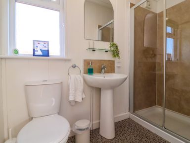 A bathroom with a toilet sink shower and window at Daffodil Lodge in Mullacott near Ilfracombe