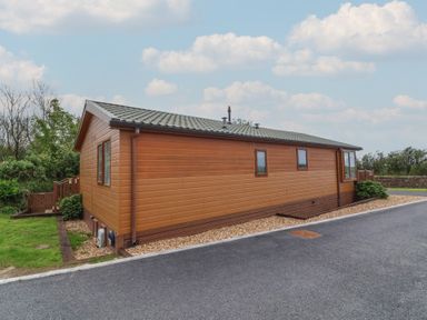 A single story wooden cabin with windows on the side near a paved road at Poppy Lodge in Mullacott, Ilfracombe