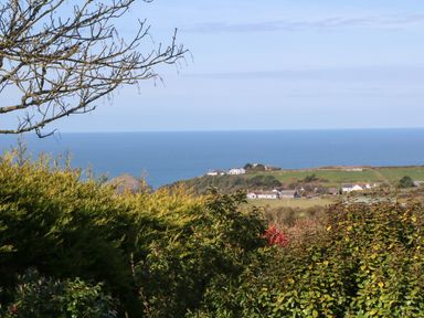 A coastal view with shrubs in the foreground houses on green fields and sea in the background at Chilowan in Trewarmett near Tintagel