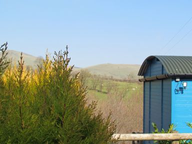 Green and yellow plants with a blue curved roof shed and hills in the background at Cuckoo at Wild Valley Huts in Llanrhaeadr-Ym-Mochnant