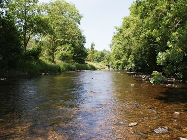 A shallow river flowing through a forested area with trees on both sides at Valley Lodge in Oakfordbridge near Bampton