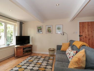 A living room with a gray sofa yellow cushions a patterned rug a wooden TV stand with a television and framed pictures on the wall at Nuthatch in Honiton