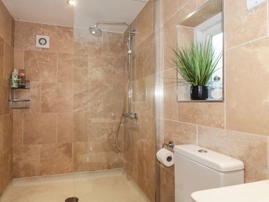 A bathroom with a walk in shower a toilet and a plant on a built in shelf at Nuthatch in Honiton