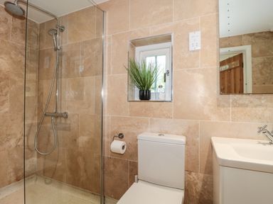 A bathroom with a walk-in shower toilet sink and a small window with a plant at Nuthatch in Honiton