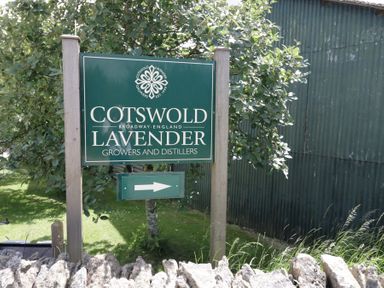A green sign for Cotswold Lavender growers and distillers next to a tree and a corrugated metal wall