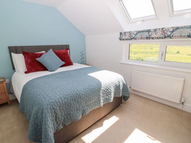 A bedroom with a bed covered by blue and red cushions next to a window at Rose Lodge in High Newton-by-the-Sea near Embleton