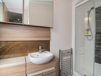 A bathroom with a sink, mirror cabinet, heated towel rail, and enclosed shower at The Olive Lodge 227 Sycamore in New Milton