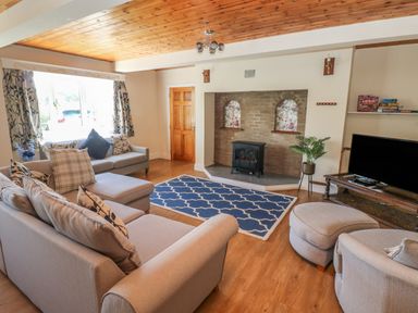 A living room with sofas a fireplace a television and a blue patterned rug at Hillside Lodge in Newtown