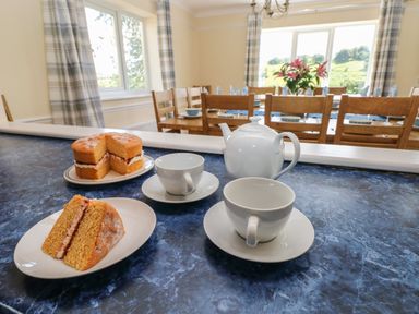 A kitchen counter with a tea set and Victoria sponge cake with a dining table and chairs in the background at Hillside Lodge in Newtown