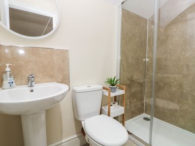 A bathroom with a sink a toilet a small shelf with toilet paper and a plant and a glass shower enclosure at Hillside Lodge in Newtown