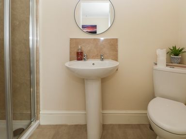 A bathroom with a pedestal sink a round mirror a shower cubicle a toilet with two rolls of toilet paper and a plant on the cistern at Hillside Lodge in Newtown