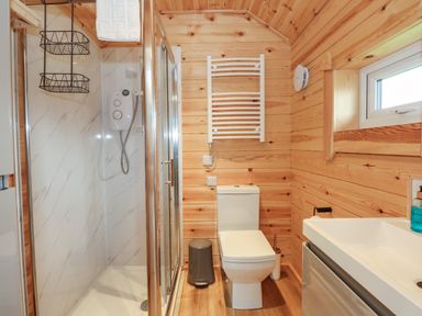 A bathroom with a shower, toilet, sink, and wooden walls at Dragonfly Retreat in Upper Marham
