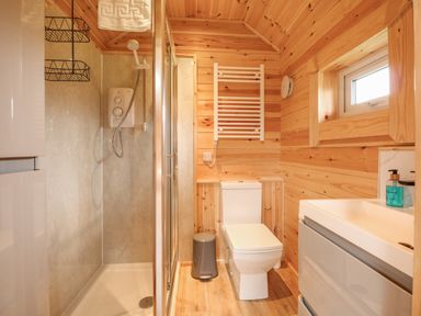 A bathroom with a shower enclosure toilet sink and wooden walls at Honeybee Retreat in Pentney near Upper Marham