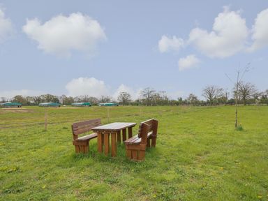 A wooden picnic table with benches on a grassy field with trees and buildings in the background at Honeybee Retreat in Pentney near Upper Marham