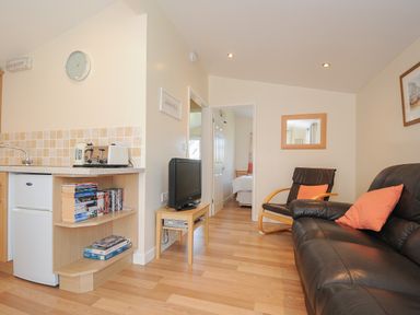 A living room area with a black leather sofa and chair with orange cushions a small TV on a wooden table and a kitchenette with a mini fridge toaster and books on shelves at Little Trebah Atlantic Bays Holiday Park near St Merryn