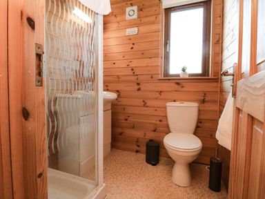 A bathroom with a toilet shower cubicle and a window with a small plant on the sill at Seascape Retreat in Ilfracombe
