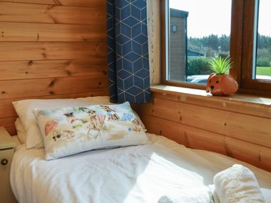 A single bed with a pillow featuring dogs on a beach a side table a window with blue curtains and a plant pot shaped like a dog's head at Seascape Retreat Ilfracombe