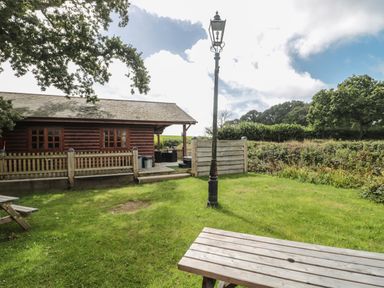 A garden with a wooden bench a lamppost and a wooden cabin surrounded by trees and bushes at Ash in Swanage