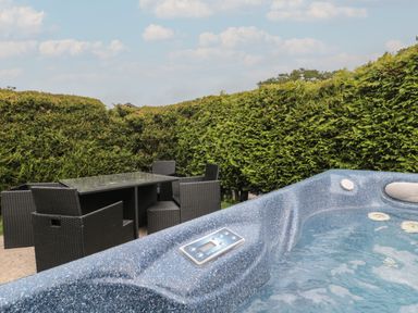 An outdoor patio with a hot tub and a glass table surrounded by six black wicker chairs enclosed by tall hedges at Beech in Swanage