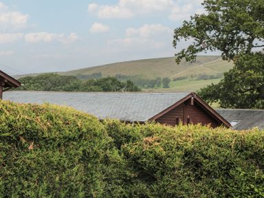 A hedge with rooftops of wooden buildings and hills in the background at Beech in Swanage