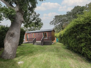 A small wooden cabin surrounded by grass trees and hedges at Birch Swanage