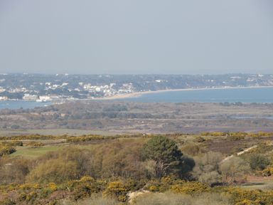 A coastal landscape with trees and shrubs in the foreground a body of water and a town with buildings along the coastline in the distance at Birch in Swanage