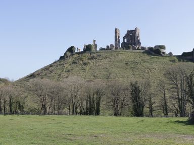 A grassy hill with the ruins of a stone castle on top and trees at the base of the hill at Birch in Swanage