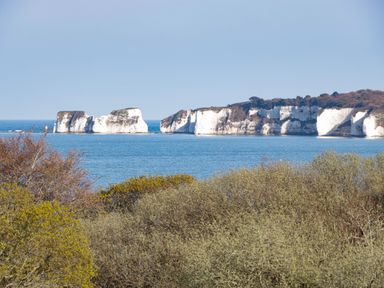 White chalk cliffs in the sea with trees in the foreground at Birch in Swanage