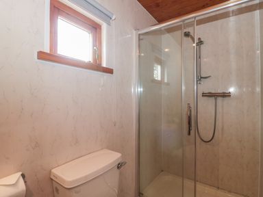 A bathroom with a toilet a glass shower enclosure and a small window at Walnut in Swanage
