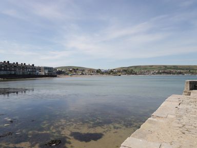 A coastal view with calm water hills and buildings along the shore at Walnut in Swanage