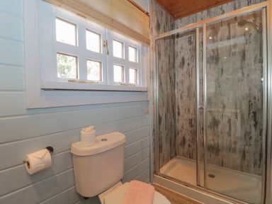 A bathroom with a toilet and a glass shower enclosure at Pine in Swanage