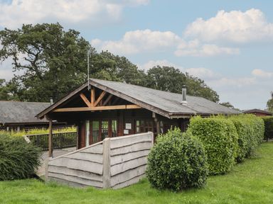 A wooden cabin with a ramp and railing surrounded by hedges and trees under a cloudy sky at Pine in Swanage